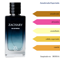 ZP13H